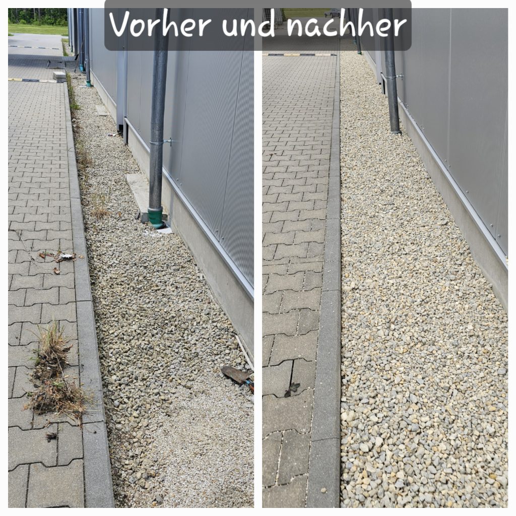 20240615 202432