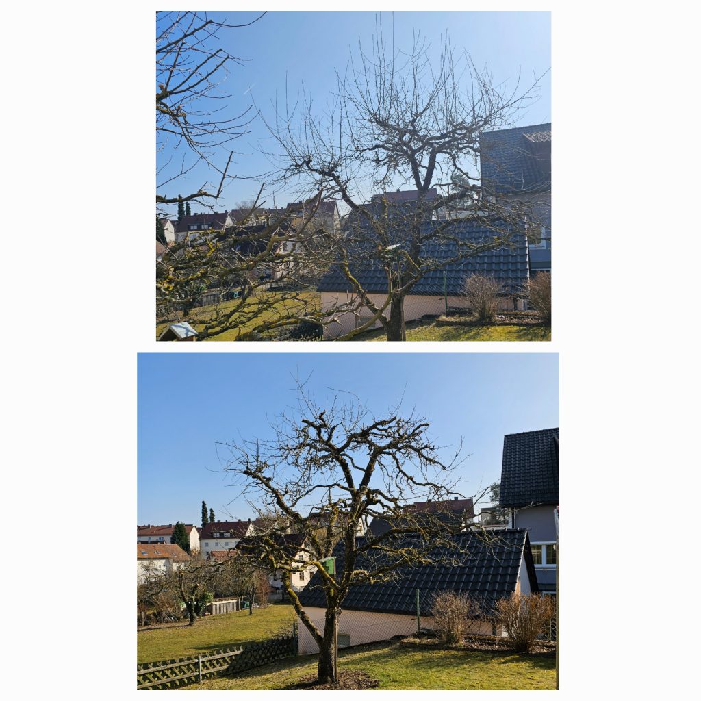 20250307 163625