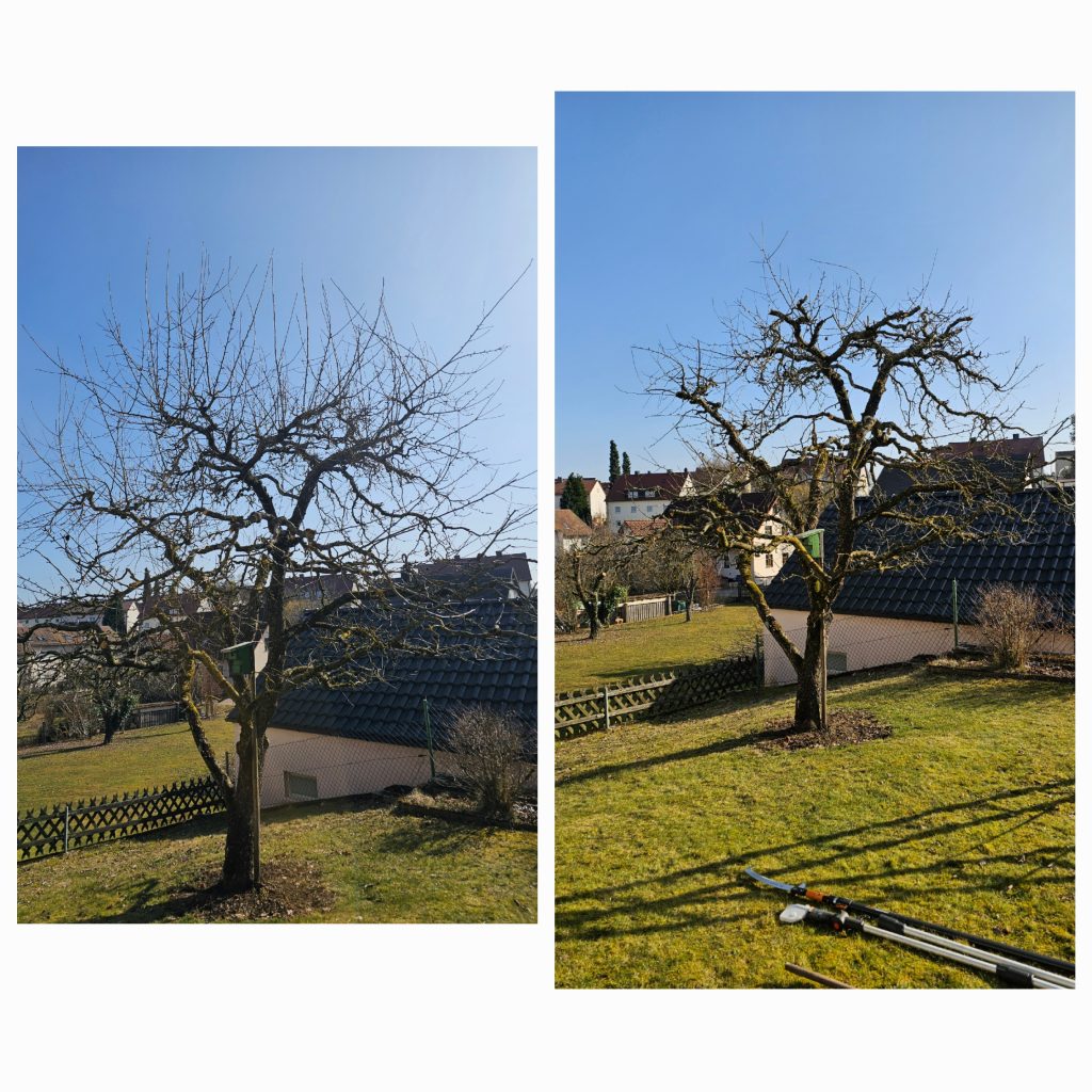 20250307 163938