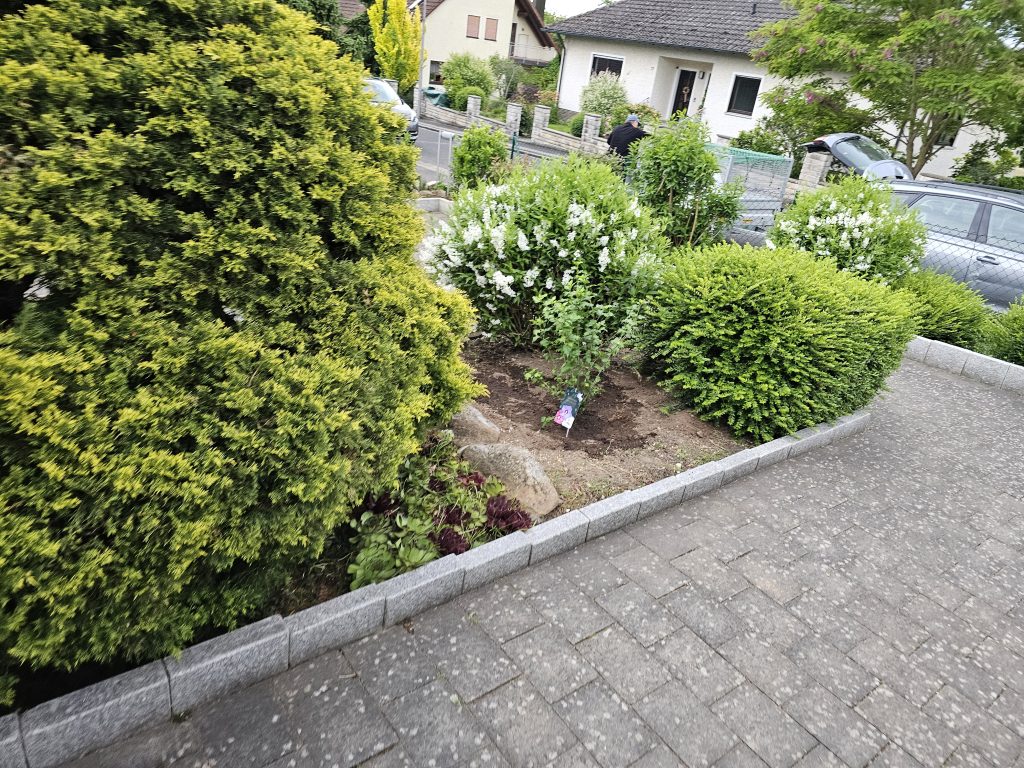 20250521 192616